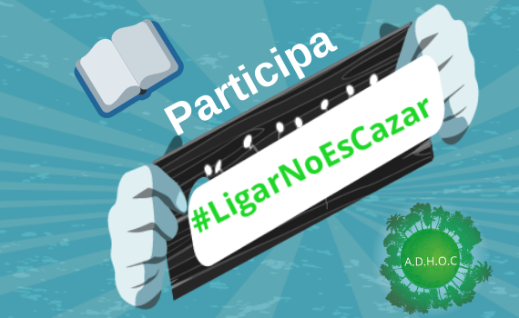 participar imagen blog adhoc asturias